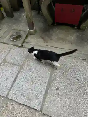 伏見稲荷大社(京都府)