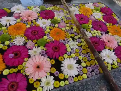 高円寺氷川神社の手水舎