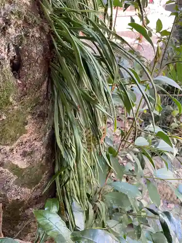 新羅神社の庭園