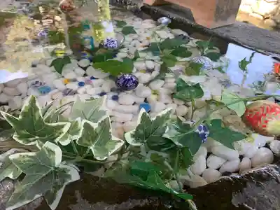 賀茂別雷神社(上賀茂神社)の手水舎