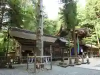 諏訪大社下社春宮の本殿・本堂