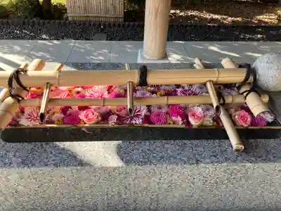 東郷神社(東京都)