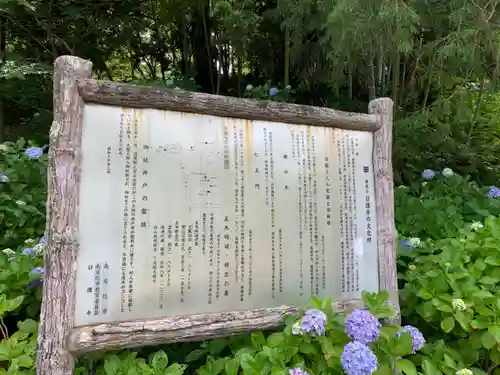 日運寺の歴史