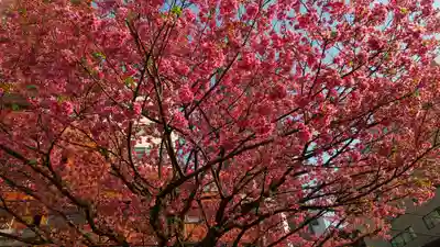 蔵前神社(東京都)