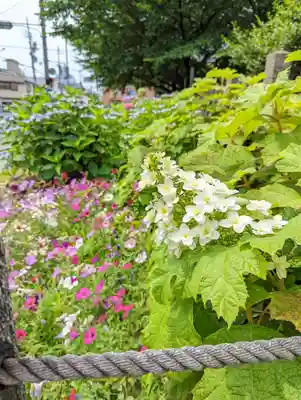 六孫王神社(京都府)