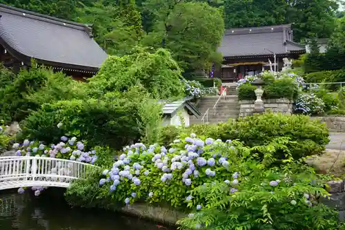 石母田　三吉神社の自然