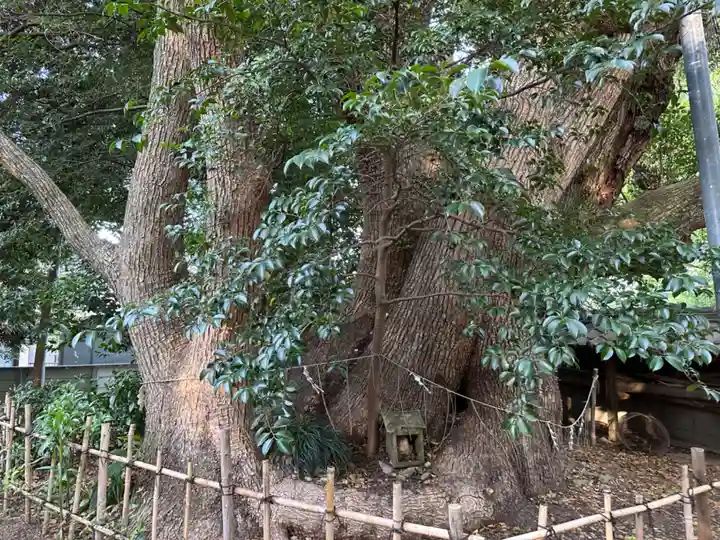 御津神社(愛知県)