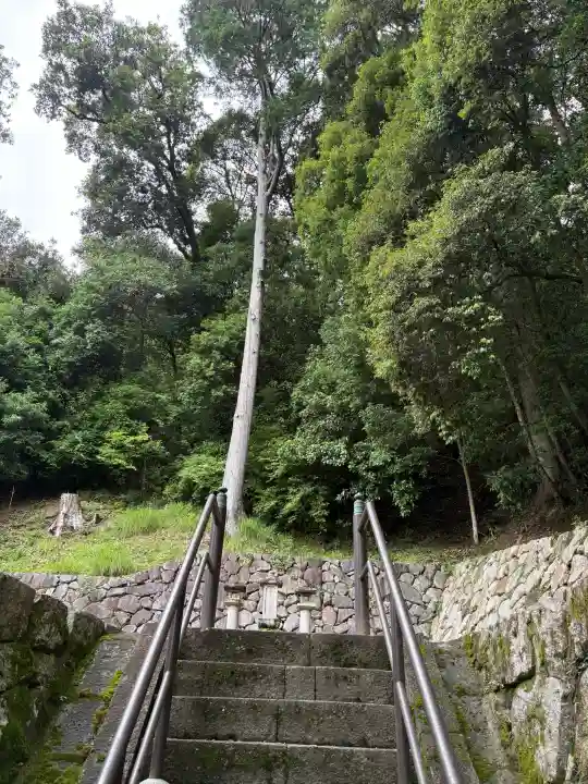 長谷寺(奈良県)