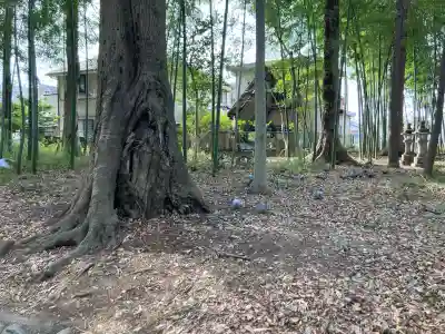 神明宮の{uncategorized: "未分類", other: "その他", undefined: "問題あり", building: "その他建物", grave: "お墓", sacred_gate: "鳥居", guardian: "狛犬", statue: "像", buddha: "仏像", history: "歴史", nature: "自然", garden: "庭園", animal: "動物", pagoda: "塔", temizu: "手水舎", mountain_gate: "山門・神門", sanctuary: "本殿・本堂", subordinate: "末社・摂社", art: "芸術", scenery: "景色", jizo: "地蔵", ema: "絵馬", goshuin: "御朱印", omikuji: "おみくじ", items: "授与品その他", amulet: "お守り", goshuincho: "御朱印帳", eats: "食事", festival: "お祭り", votive_dance: "神楽", shichigosan: "七五三参", wedding: "結婚式", experience: "体験その他", initially: "初詣", around: "周辺", anti_infection: "感染症対策"}