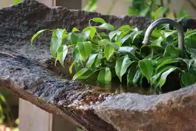 愛宕神社の手水舎