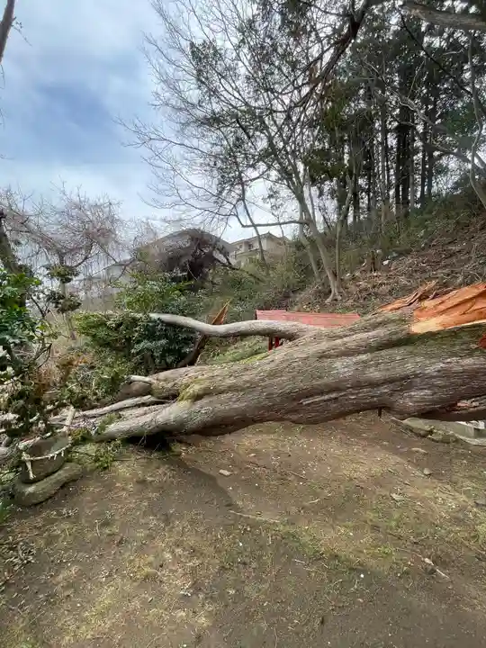 仙台八坂神社(宮城県)