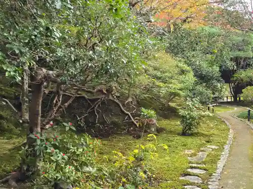 霊鑑寺門跡(京都府)