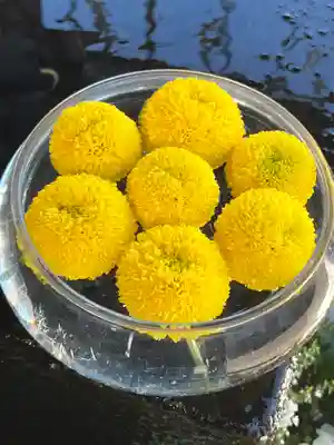 上尾御嶽神社の手水舎