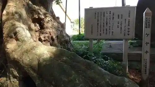 鹿島神社の歴史