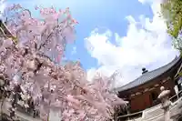 一宮寺(香川県)