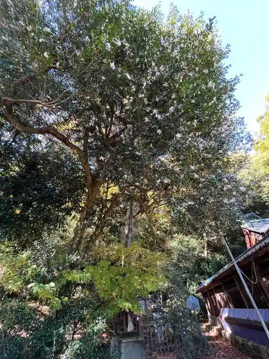 關蝉丸神社下社(滋賀県)