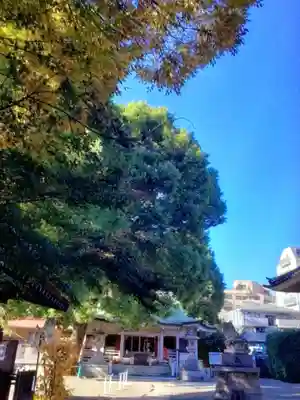 荻窪白山神社(東京都)