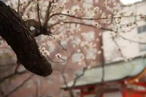 花園神社の自然