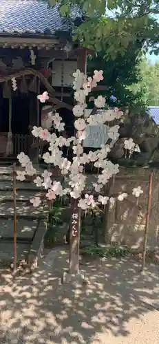 北本氷川神社のおみくじ