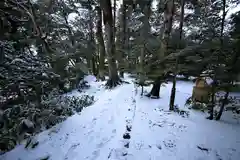 須佐神社の自然