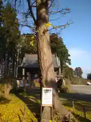 日本寺の建物その他