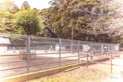 鹿島神宮(茨城県)