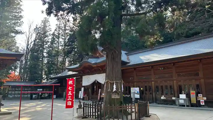 穂高神社本宮(長野県)