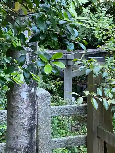 木嶋坐天照御魂神社のその他建物