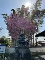 芳林寺(埼玉県)