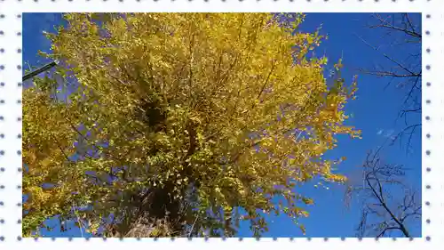 塚越稲荷神社(埼玉県)