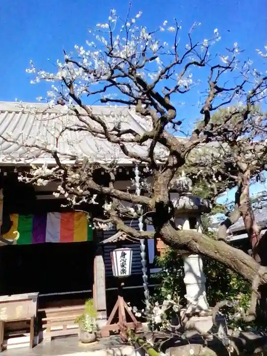 常性寺(東京都)