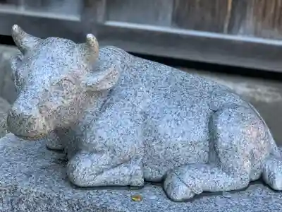 赤羽八幡神社の狛犬