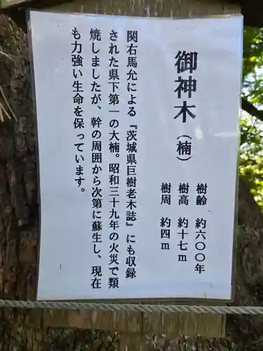 常陸國總社宮(茨城県)