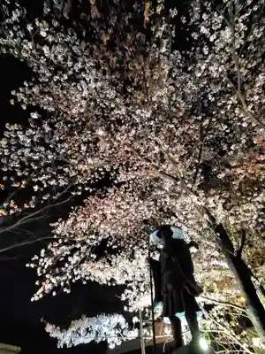 如宝寺(福島県)