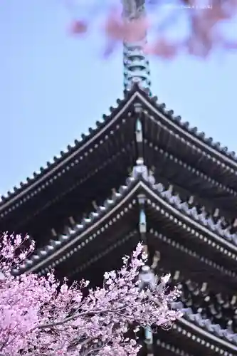香林寺(神奈川県)
