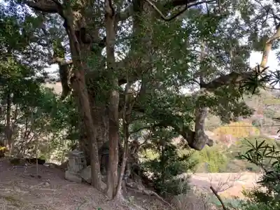 金刀比羅神社の自然