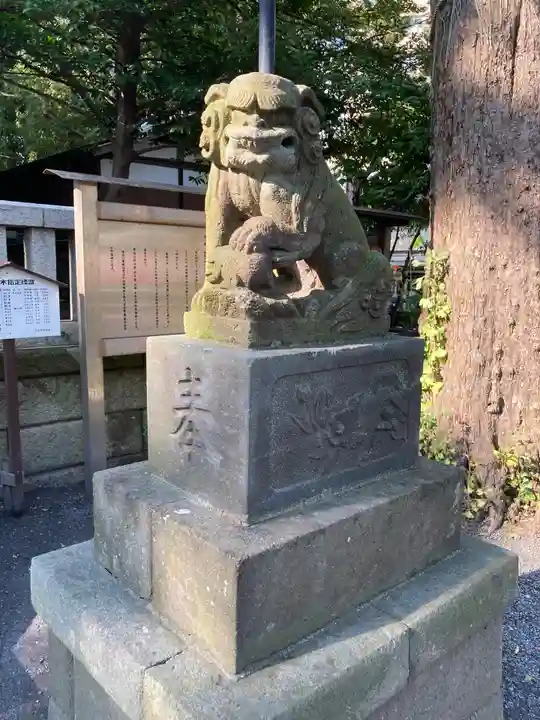 亀岡八幡宮(亀岡八幡神社)の狛犬