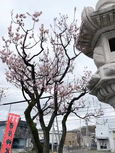 西野神社の自然