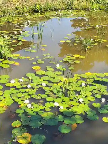 陽林寺(福島県)