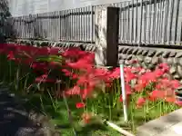 横浜 西方寺の自然