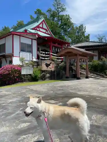 差出磯大嶽山神社 仕事と健康と厄よけの神さま(山梨県)