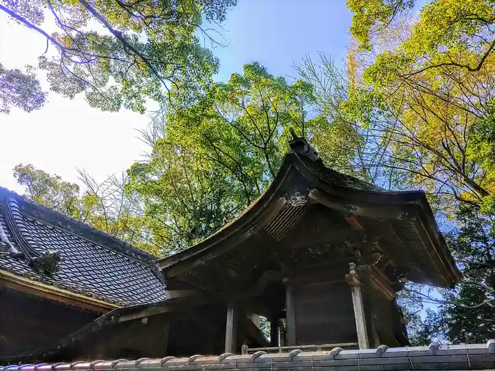 八幡神社(柴ケ森八幡社)の本殿・本堂