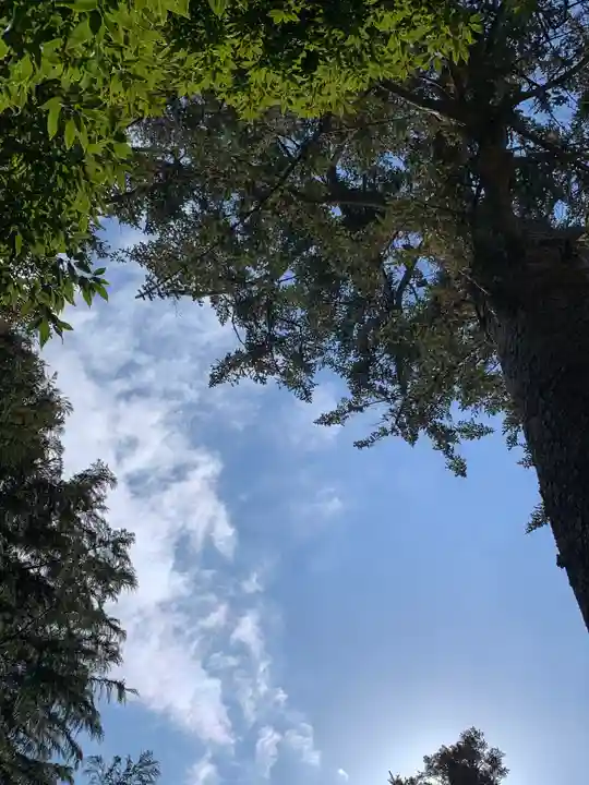 滑川神社 - 仕事と子どもの守り神(福島県)