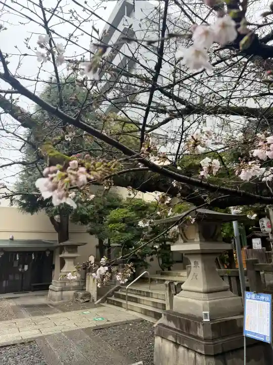 猿江神社の{uncategorized: "未分類", other: "その他", undefined: "問題あり", building: "その他建物", grave: "お墓", sacred_gate: "鳥居", guardian: "狛犬", statue: "像", buddha: "仏像", history: "歴史", nature: "自然", garden: "庭園", animal: "動物", pagoda: "塔", temizu: "手水舎", mountain_gate: "山門・神門", sanctuary: "本殿・本堂", subordinate: "末社・摂社", art: "芸術", scenery: "景色", jizo: "地蔵", ema: "絵馬", goshuin: "御朱印", omikuji: "おみくじ", items: "授与品その他", amulet: "お守り", goshuincho: "御朱印帳", eats: "食事", festival: "お祭り", votive_dance: "神楽", shichigosan: "七五三参", wedding: "結婚式", experience: "体験その他", initially: "初詣", around: "周辺", anti_infection: "感染症対策"}