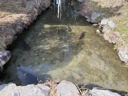 大御堂観音寺の{uncategorized: "未分類", other: "その他", undefined: "問題あり", building: "その他建物", grave: "お墓", sacred_gate: "鳥居", guardian: "狛犬", statue: "像", buddha: "仏像", history: "歴史", nature: "自然", garden: "庭園", animal: "動物", pagoda: "塔", temizu: "手水舎", mountain_gate: "山門・神門", sanctuary: "本殿・本堂", subordinate: "末社・摂社", art: "芸術", scenery: "景色", jizo: "地蔵", ema: "絵馬", goshuin: "御朱印", omikuji: "おみくじ", items: "授与品その他", amulet: "お守り", goshuincho: "御朱印帳", eats: "食事", festival: "お祭り", votive_dance: "神楽", shichigosan: "七五三参", wedding: "結婚式", experience: "体験その他", initially: "初詣", around: "周辺", anti_infection: "感染症対策"}