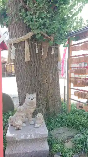 川越八幡宮の狛犬