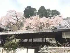 十輪寺(京都府)