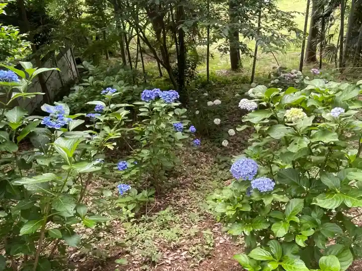 常陸國總社宮(茨城県)