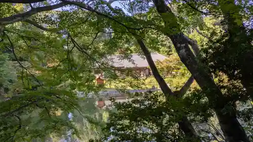 浄瑠璃寺(京都府)