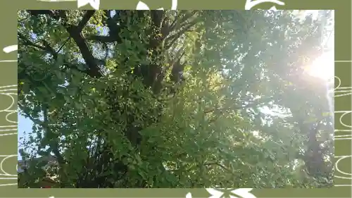 飛木稲荷神社(東京都)
